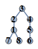 test1_19429.gif