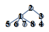test1_21865.gif